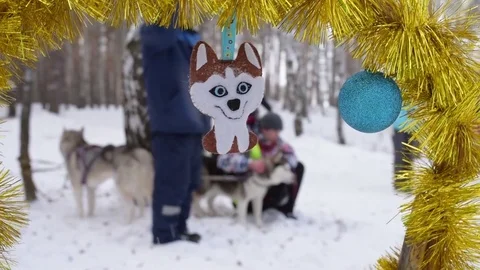 Husky toy hanging 스톡 동영상 85072618