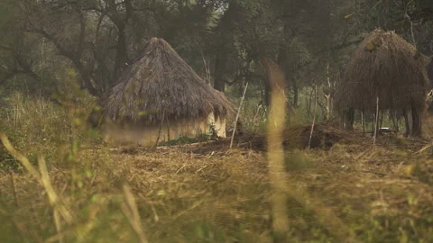 Hut in Africa, Cameroon Stock Footage 256912428