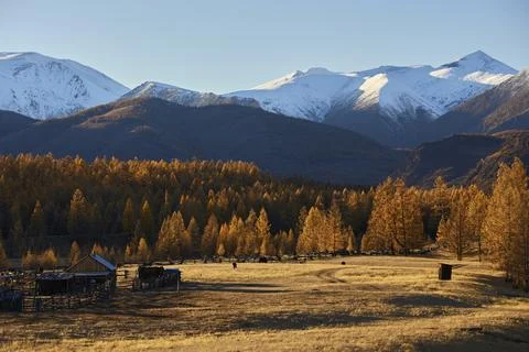 Hut on the background of mountains Stock Photos