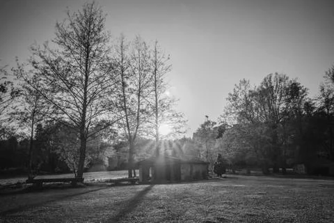Hut backlit with flare Stock Photos