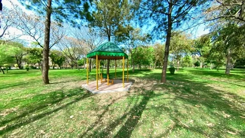 Hut Behind the Tree Stock Footage 172433543