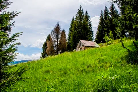 Hut between meadows and pines Stock Photos