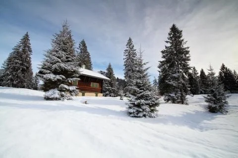 Hut between spruce trees in winter Stock Photos