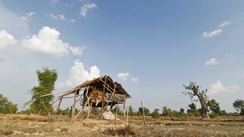 Hut in the field Stock Footage 98522664