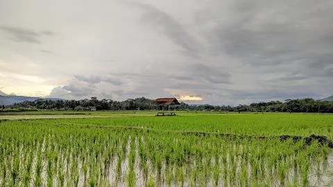 Hut in the fields Stock Photos