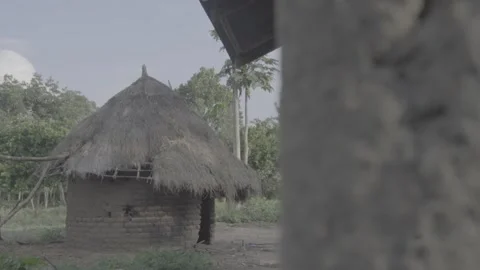 Hut Stock Footage 308013743