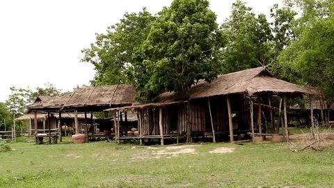 Hut in the forest Видео 91756201
