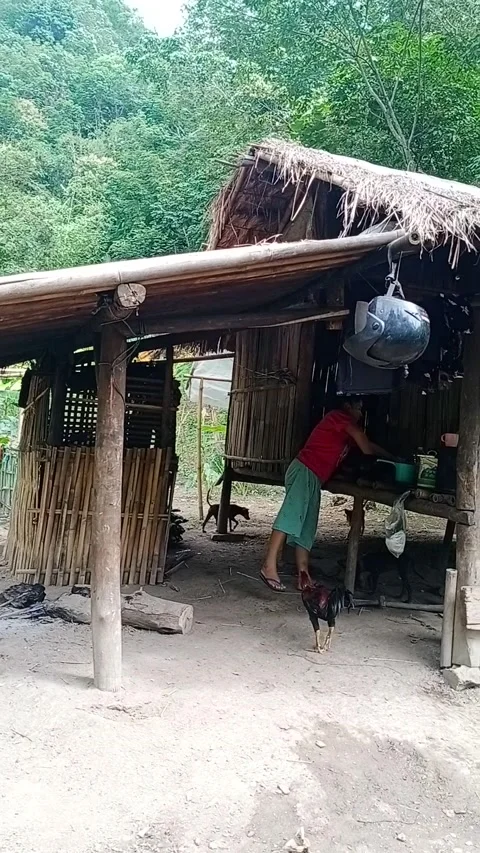 A hut in the forest 動画素材 205447708