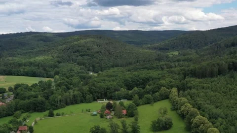 A hut in the forest. Inside shot of the forest, landscape of jungle Stock Footage 249409616