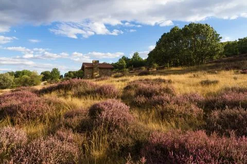 Hut in the forest Stock-Fotos
