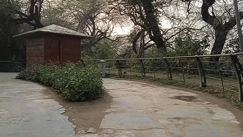 Hut on hill Stock Footage 146281687