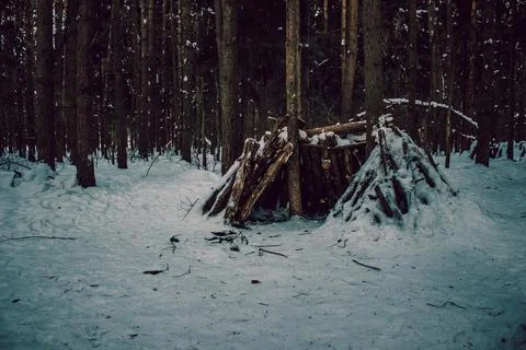 A hut made of tree logs in a winter forest Stock Photos