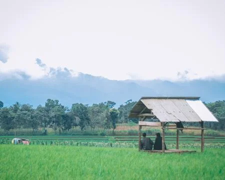 Hut in the middle of the fields Foto stock