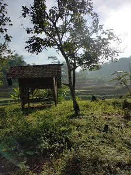 The hut in the middle of the forest Stock Photos