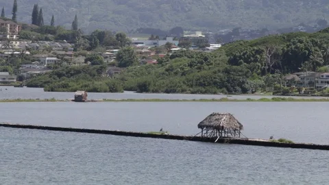 Hut In The Ocean Stock Footage 104809872