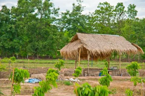 Hut Stock Photos
