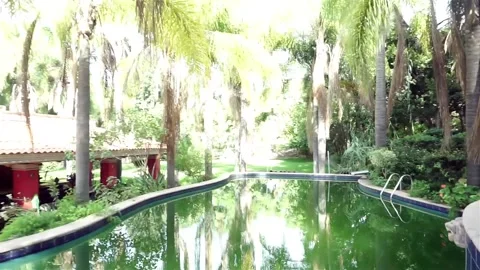 Hut pool in forest area Stock Footage 200789418