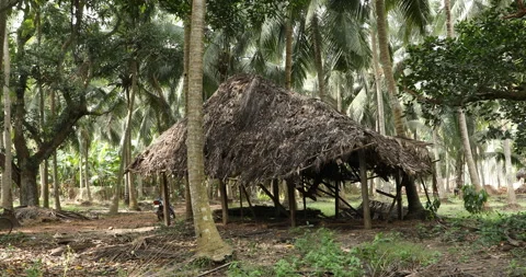 Hut in a rural fields area Stock Footage 144689473