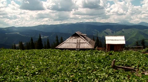 Hut sheep on a background of mountains Stock Footage 69009065