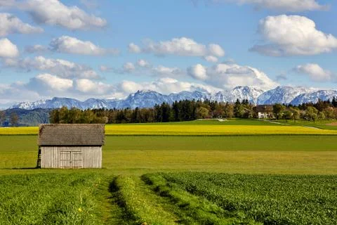 Hut standing on the meadows in front of mountains Stock Photos