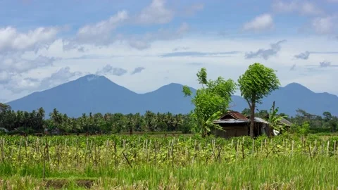 Hut at the Vegetable Farm in Bali with Floating Clouds Over Moutains Timelapse Stock Footage 199628034