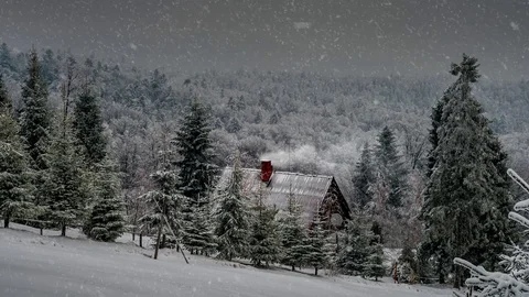 Hut in the winter forest 動画素材 99928854
