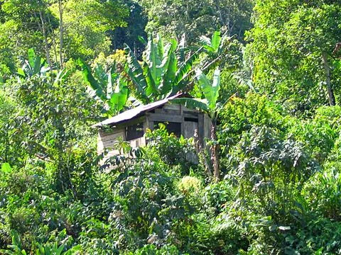 Hut2 Foto stock