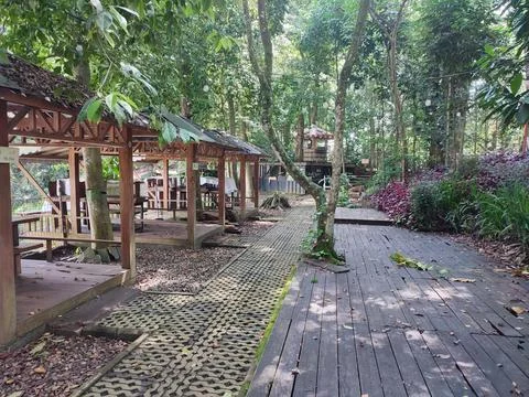 Hutan raya Stock Photos