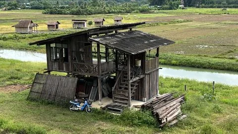 Huts in rice fields Stock Photos