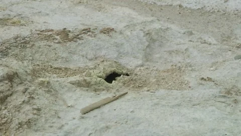 Hverir Close Up Bubbling Hole Stock Footage 183510985