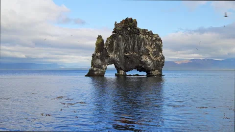 HVITSERKUR Stock Footage 313852005