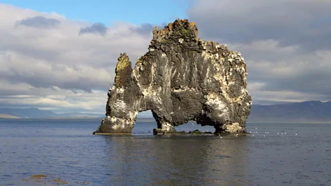 HVITSERKUR MEDIUM SHOT Stock Footage 313852561