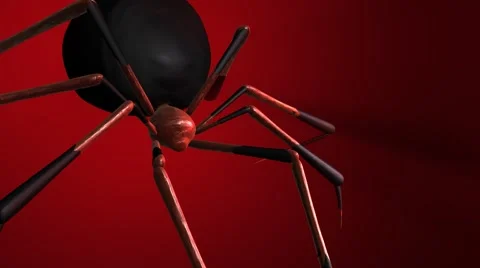 Hw font plus19 Stock Footage 988472