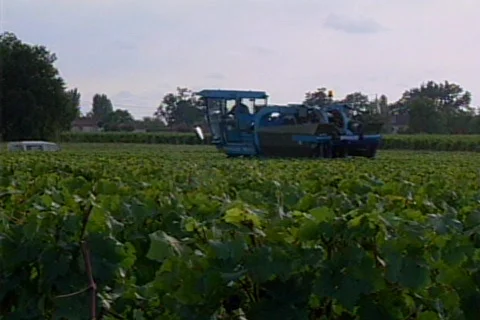 HW vineyard tractor Stock Footage 490745