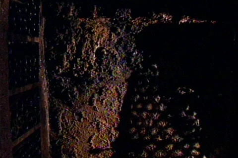 HW wine cellar 03 Stock Footage 491092