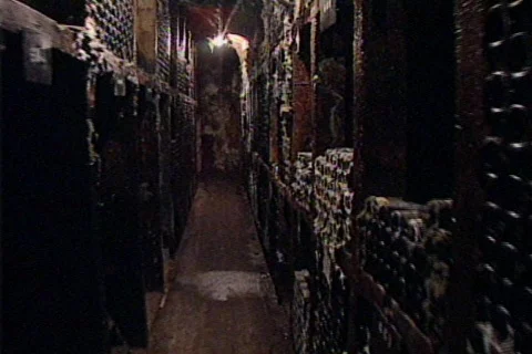 HW wine cellar 05 Stock Footage 491094