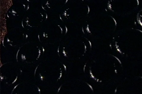 HW wine cellar 09 Stock Footage 491104
