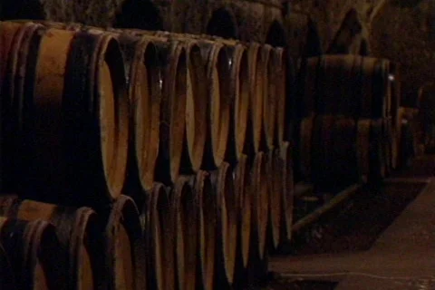 HW wine cellar 11 Stock Footage 491110