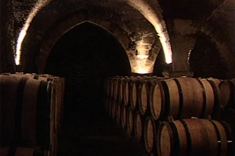 HW wine cellar 14 Stock Footage 491118
