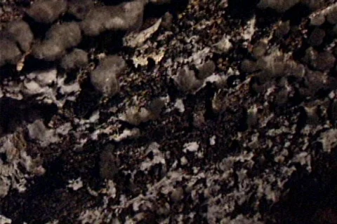 HW wine cellar 19 Stock Footage 491120
