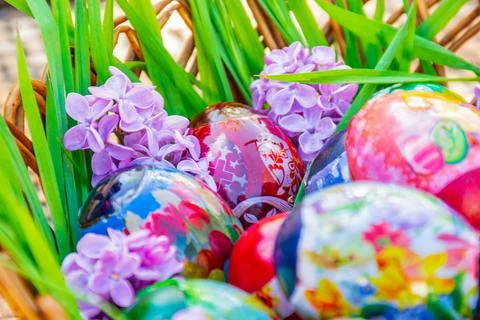 Hyacinth and grass decorating Easter eggs basket Stock Photos