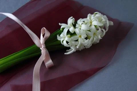 Hyacinth composition Stock Photos