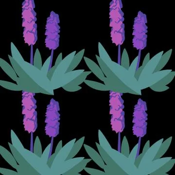 Hyacinth flowers seamless pattern on black background Stock Illustration