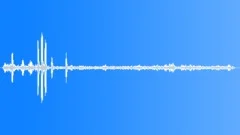 Hyacinth Macaw CallsSound Effect