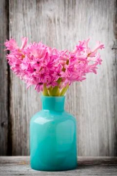 Hyacinth. Stock Photos