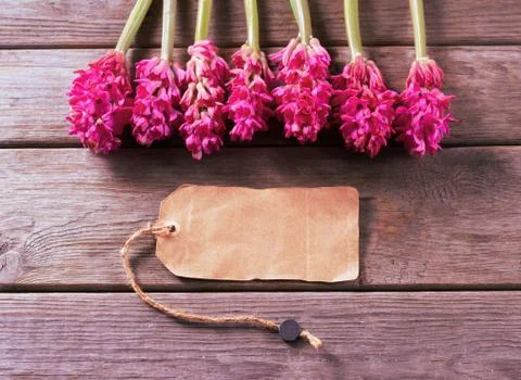 Hyacinths and empty card Stock Photos