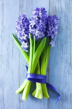 Hyacinths Stock Photos