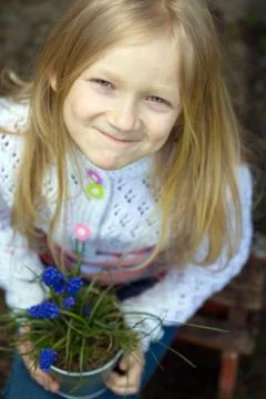 Hyacinthus Stock Photos