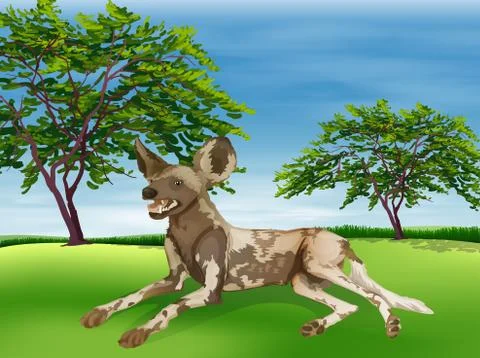 Hyaena Stock Illustration