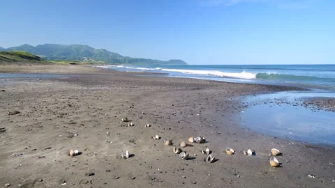 Hyakunin Beach, the Pacific Ocean, and the Hidaka Mountain Range 库存影片 332371730